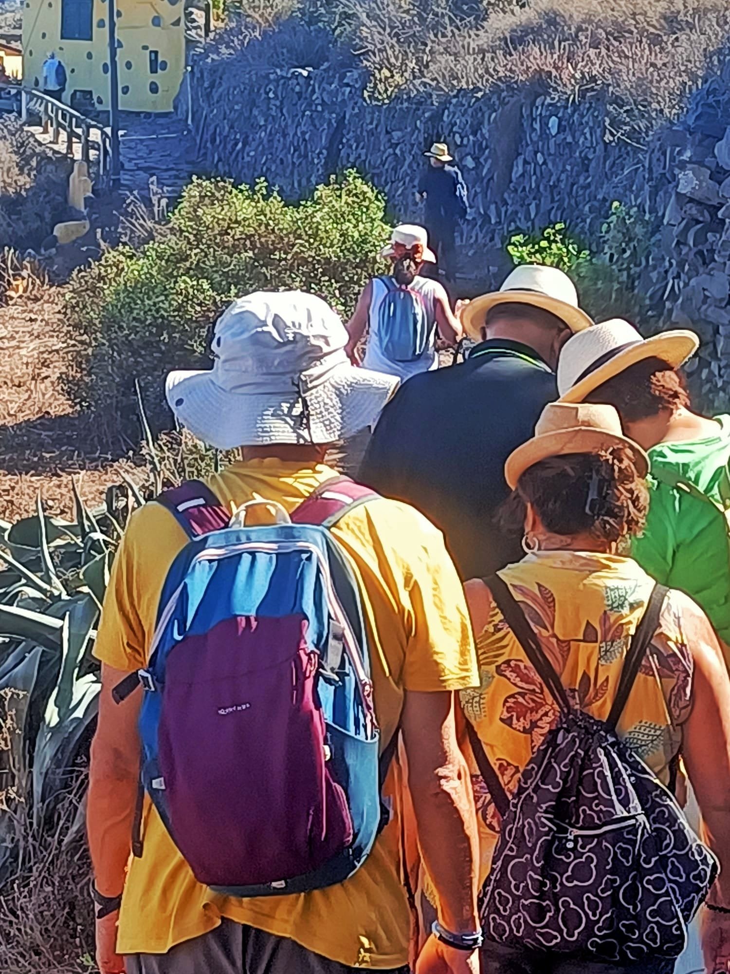 taro cohousing vivienda colaborativa senior tenerife