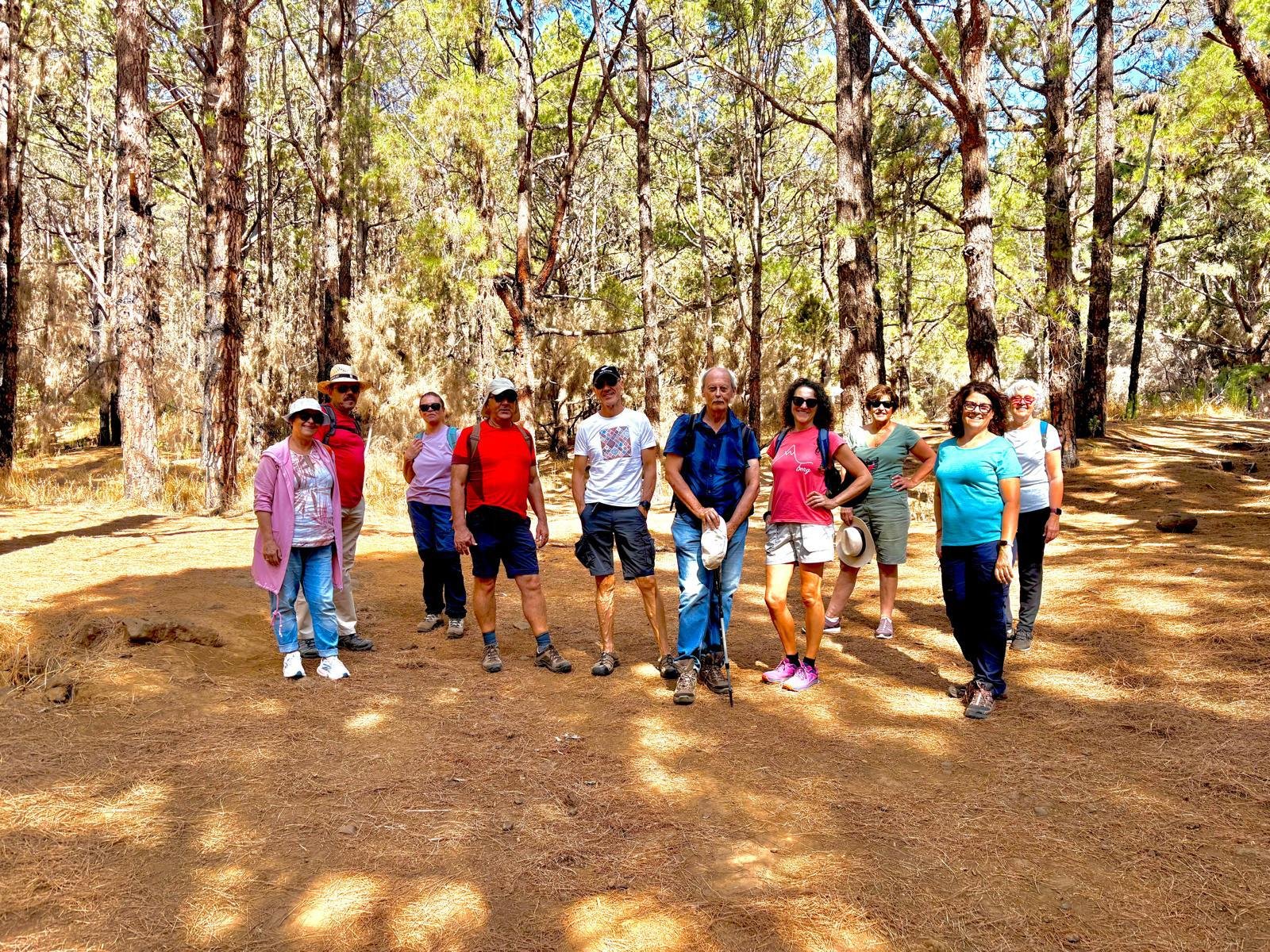 cohousing senior vivienda colaborativa taro