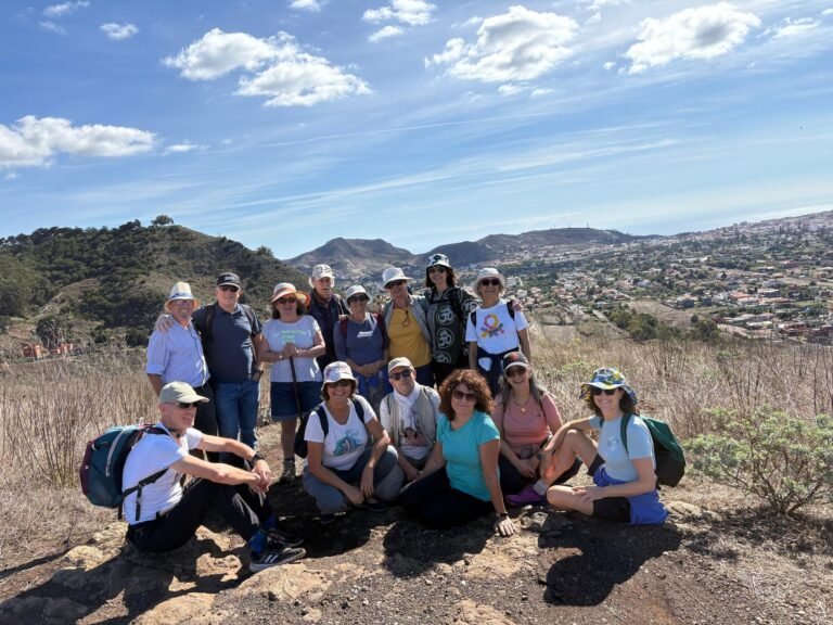 cohousing senior vivienda colaborativa taro
