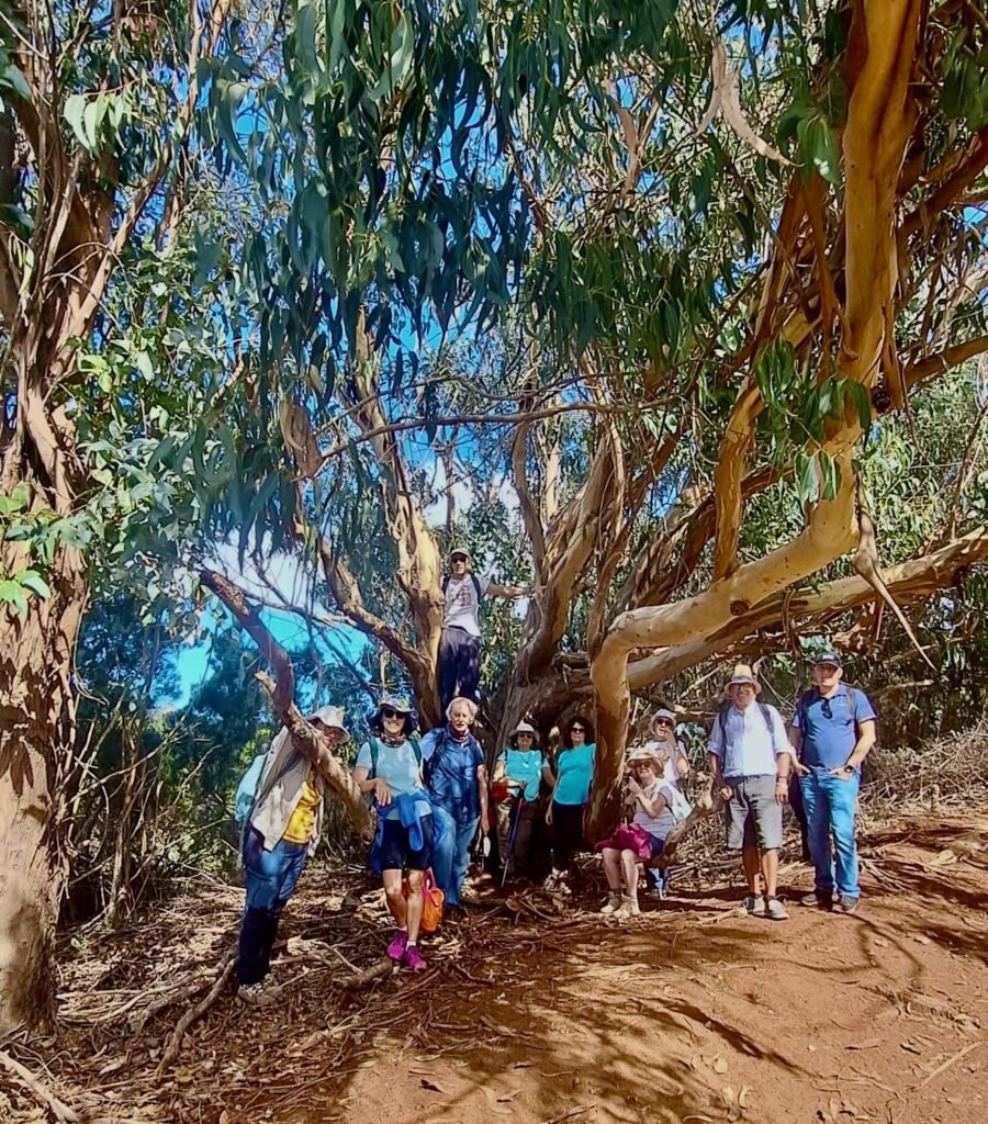 Raíces que crean vínculos cohousing senior vivienda colaborativa taro