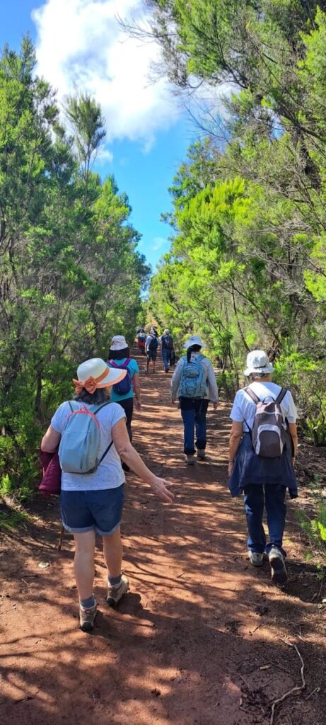 Haciendo camino juntos cohousing senior vivienda colaborativa taro