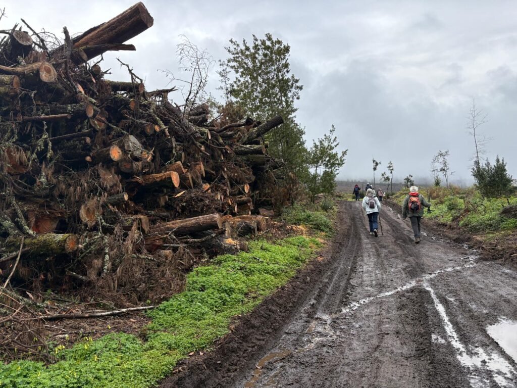 Paso firme ante las adversidades cohousing senior vivienda colaborativa taro