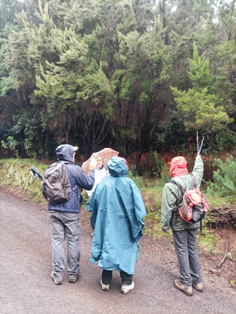 Disfrutando del paseo cohousing senior vivienda colaborativa taro