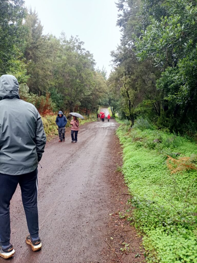 Haciendo camino cohousing senior vivienda colaborativa taro