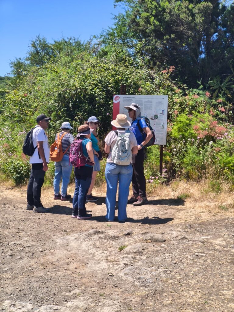 cohousing senior vivienda colaborativa taro
