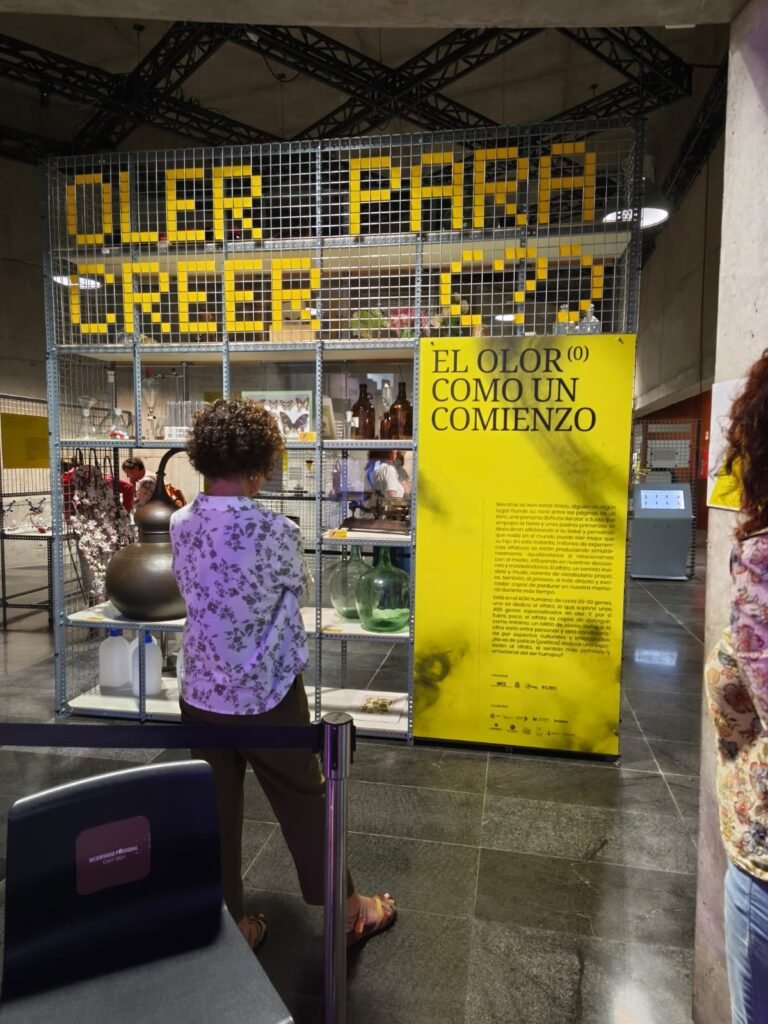 cohousing senior vivienda colaborativa taro
