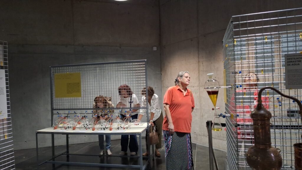 cohousing senior vivienda colaborativa taro